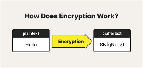 What Is Encryption How It Works Types Of Encryption Norton The Best Porn Website