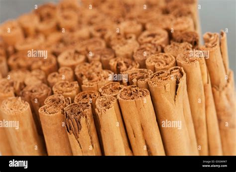 Bundle Of Cinnamon Sticks Stock Photo Alamy