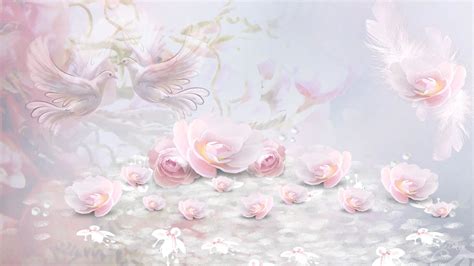 Soft Pink Wallpapers 43 Background Pictures