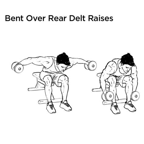 The 25 Best Rear Delt Exercises For Epicly Strong Shoulders Radical
