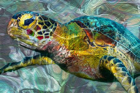 Tropical Sea Turtle Throw Pillow For Sale By Jack Zulli
