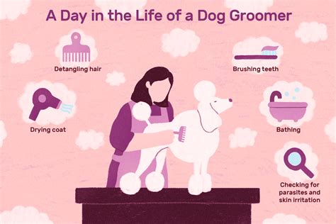 Groomer Jobs