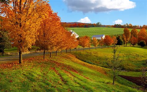 nature landscapes autumn fall seasons leaves fields grass roads fence farm