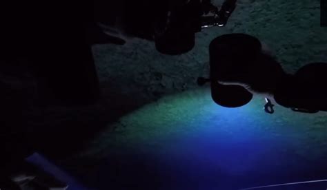 Worlds Biggest Underwater Cave Found In Mexico