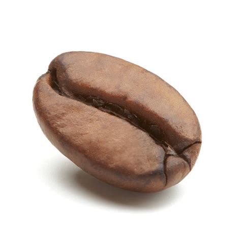 Single Coffee Bean Stock Photos Pictures And Royalty Free Images Istock