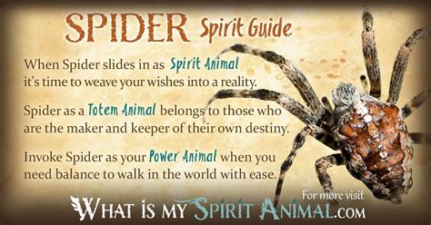 Spider Symbolism And Meaning Spirit Totem And Power Animal