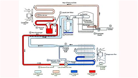 Diagram Wiring Diagram Of Refrigeration System 1741386391