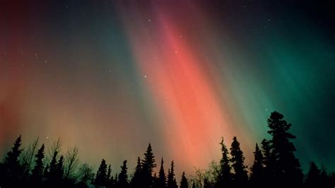Aurora Over The Forest Hd Wallpaper