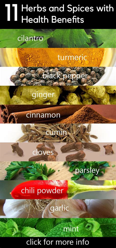 Eat These 11 Herbs And Spices For A Long Healthy Life Healthy Spice