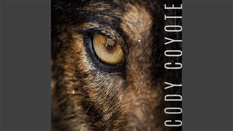 Cody Coyote Feat Lostxboy Youtube