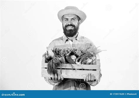 Farmer Guy Carry Harvest. Locally Grown Foods. Farmer Lifestyle
