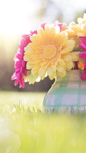 Spring Wallpapers High Resolution For Widescreen