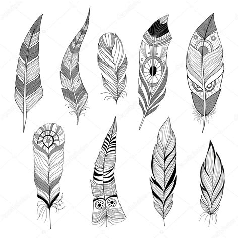 Set Of Feathers — Stock Vector © Annbozshko 37901087