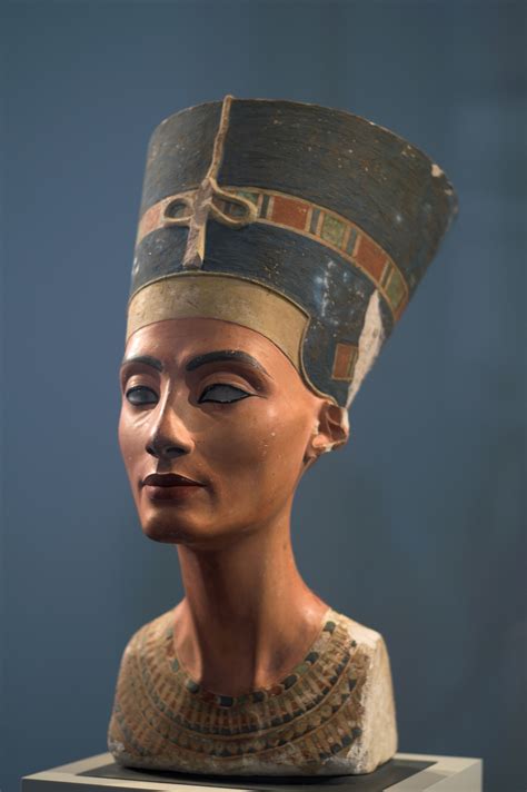 Fitxermia Nefertiti Viquipèdia Lenciclopèdia Lliure