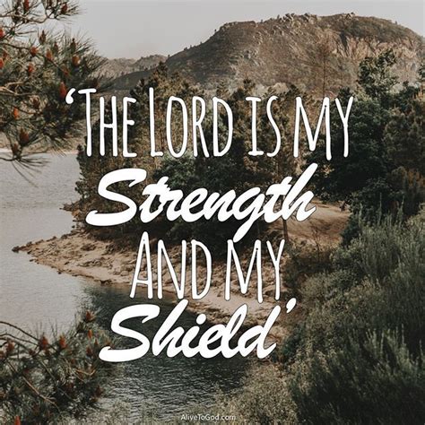 Psalm 287 The Lord Is My Strength And My Shield My Heart Trusts In