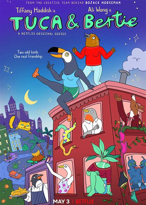 tuca and bertie season 1 tv series 2019 release date review cast trailer watch online at