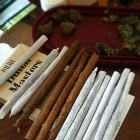 How To Roll A Perfect Joint Blunt Or Backwood Colorado Cannabis Tours