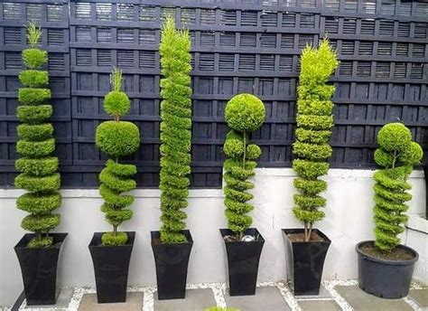 As stated earlier also, that such organisms do not have any connection on the tree of life, but there. Pin on Gardening