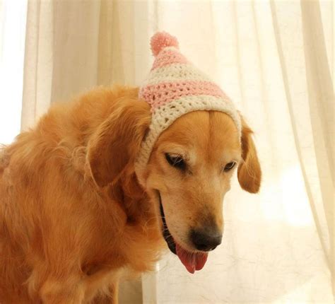 Dog Hat Dog Beanie Winter Hat For Dogs Large Breed Dog Hat