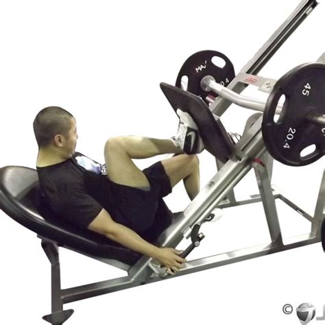 Diagonal Single Leg Press Exercise How To Workout Trainer By Skimble