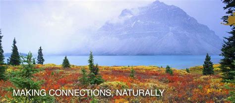 Yellowstone To Yukon Conservation Initiative Y2y Their Mission Is To