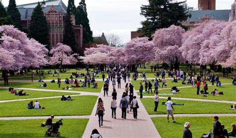 Top 10 Colleges In Washington State Dairacademy