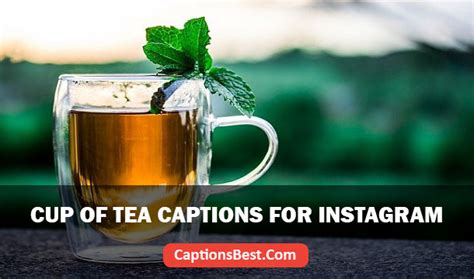 Cup Of Tea Captions For Instagram With Quotes