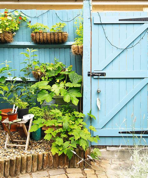 Gardeners' World presenter Francis Tophill shares her secrets for