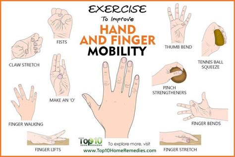 Hand And Finger Strengthening Exercises Emedihealth Arthritis Exercises Hand Therapy