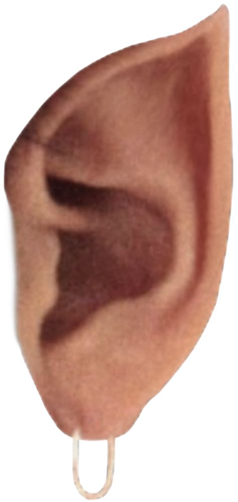 Elf Ear Fantasy Earring эльф Freetoedit Sticker By Snzls