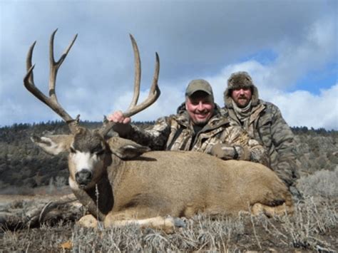 Best Mule Deer Hunting In Colorado