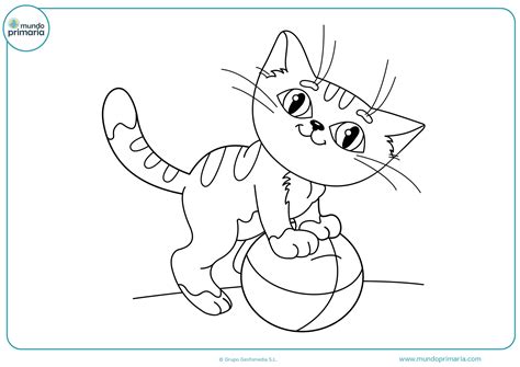 Dibujos de Animales Domésticos para Colorear Imprimir y Pintar