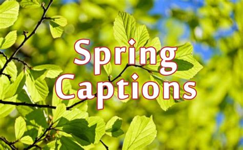 Spring is a time for new beginnings…. Spring Captions for Your Selfies, Photos and Videos ...