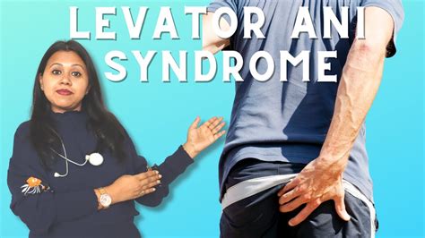 What Is Levator Ani Syndrome Causes Symptoms Homeopathic Medicines Youtube