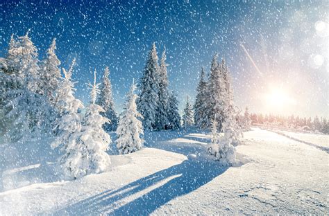 Winter Trees Snow Season Wallpaper Hd Nature 4k Wallpapers Images