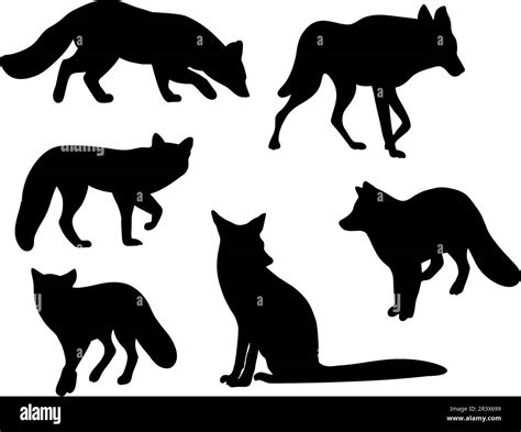 Collection Silhouettes Wild Forest Animals Fox And Wolf Vector