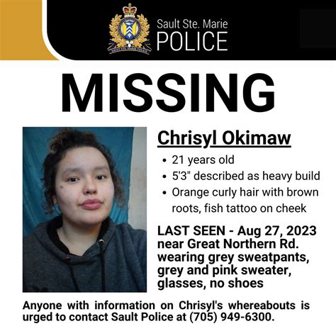 Police Seek Help To Find Missing Person Sault Star