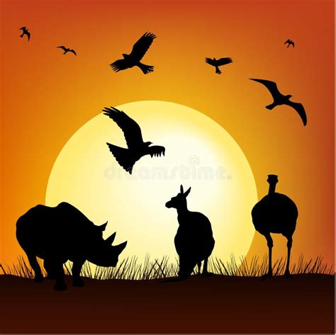 Safari Sunset Stock Vector Illustration Of Kangaroo 17628177