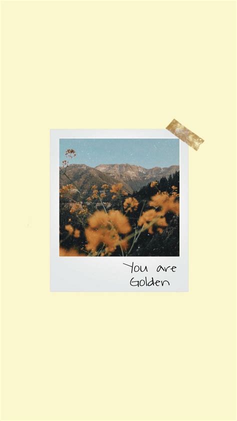 Flower Polaroid Background Aesthetic Backgrounds