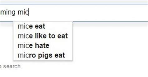What Do Gaming Mice Eat Imgur