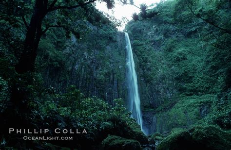 Iglesias Falls Waterfall Cocos Island Costa Rica 05490