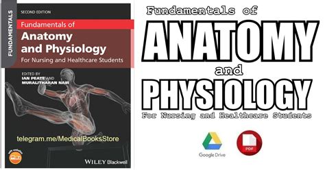 Netters Surgical Anatomy And Approaches 2nd Edition Pdf Human Anatomy