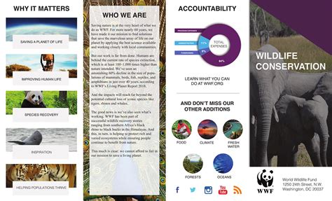 World Wildlife Fund Wildlife Conservation Brochure On Behance