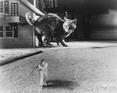 The Incredible Shrinking Man Fetch Publicity