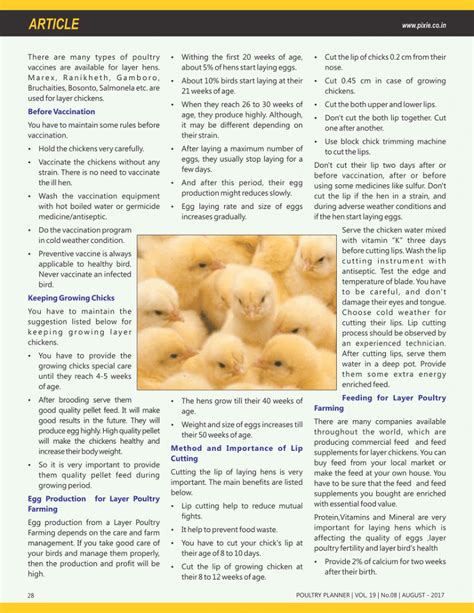 Layer Poultry Farming Guides For Beginners Published In Poultry