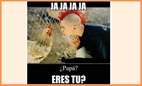 Más del pingüino barbijo en aves de chile: Lluvia de memes (MUY ocurrentes) para compartir el Día del ...