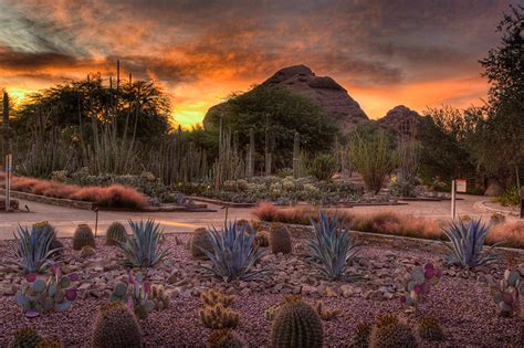 Best Places To Watch A Sunset In Phoenix The Hot Sheet Blog