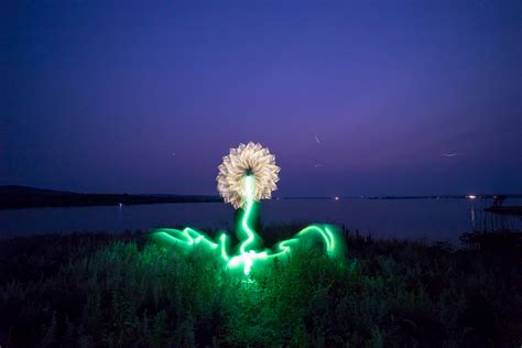 Light Painting Flower Tutorial Light Painting Photography