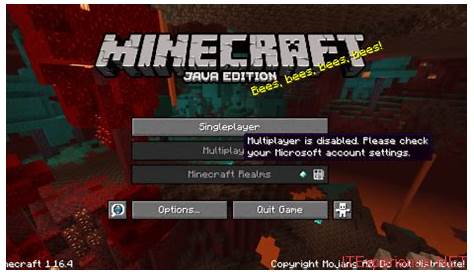 you cannot play online multiplayer minecraft