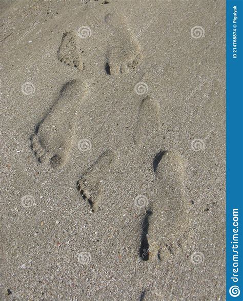 Children Footprints In The Sand Human Footprints Leading Away From The